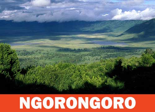 Area di conservazione di Ngorongoro
