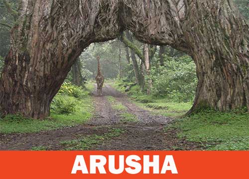 Parco Nazionale di Arusha
