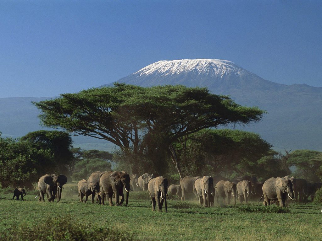 mount kilimanjaro safari club arusha
