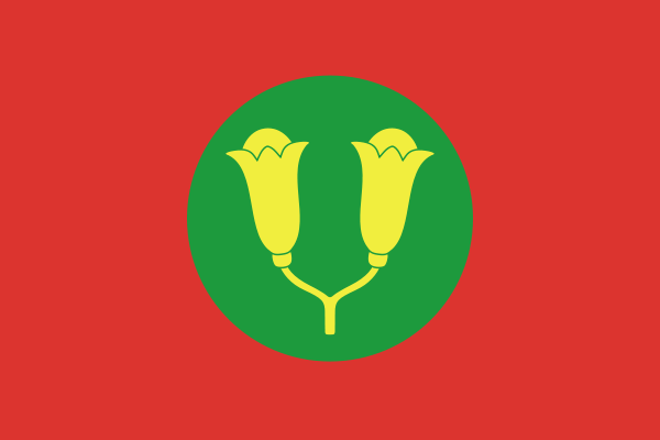 drapeau du sultanat de Zanzibar