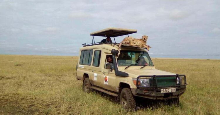 Viaggiare sicuri in Tanzania