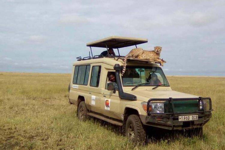 Viaggiare sicuri in Tanzania