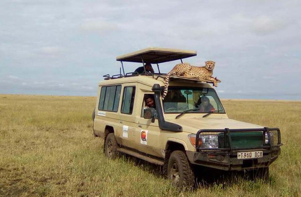 Viaggiare sicuri in Tanzania