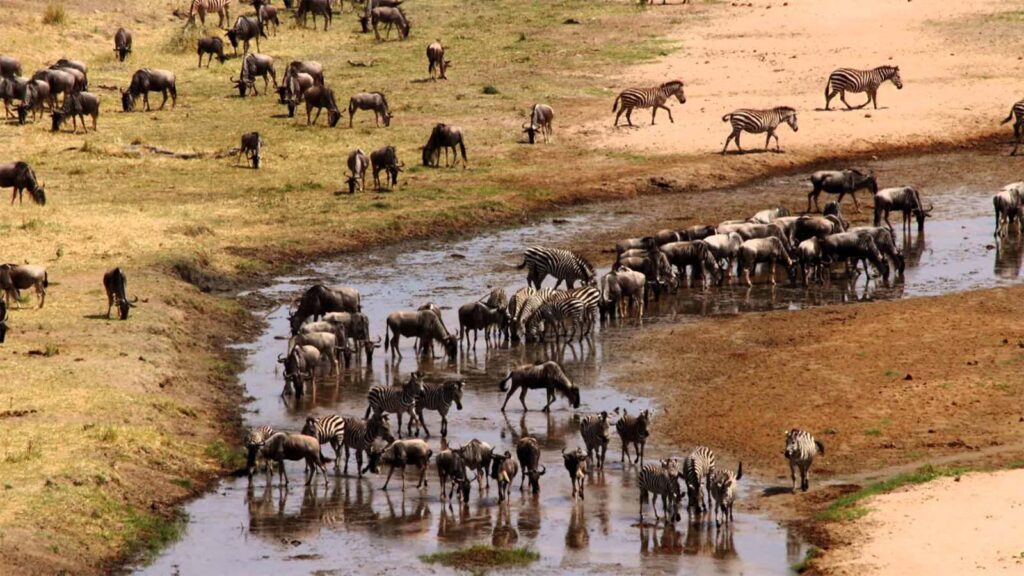 Parco nazionale del Tarangire