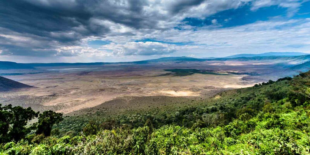 ngorongoro