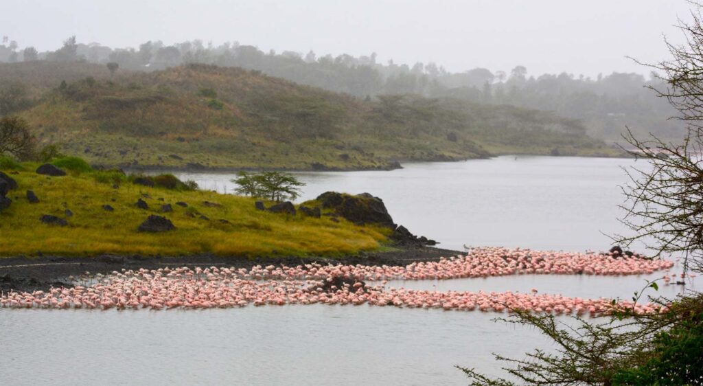 parco nazionale di arusha