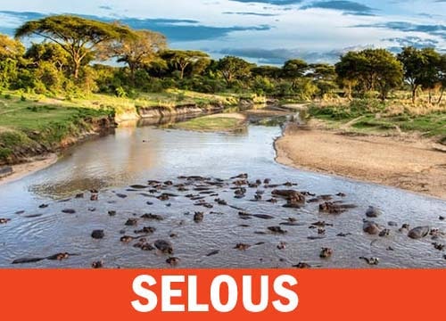 Riserva Faunistica del Selous Selous Game Reserve