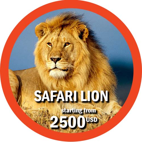 Lion Safari 10 days itinerary in Tanzania