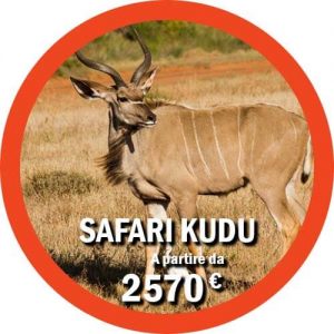 Kudu Tour safari di 11 giorni in Tanzania