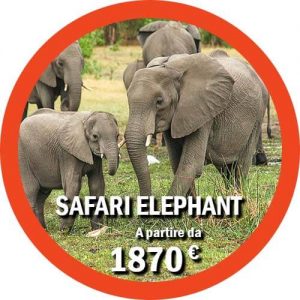 Offerta safari di Gruppo in Tanzania