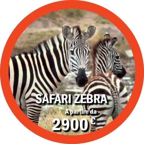 Pacchetto safari Tanzania e Mare a Zanzibar