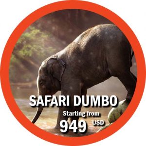 Safari Dumbo