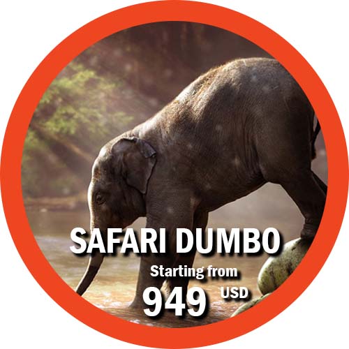 Safari Dumbo