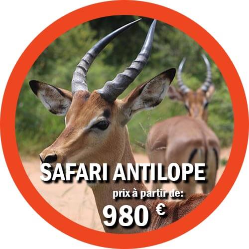 Antelope Safari de 4 jours en Tanzanie