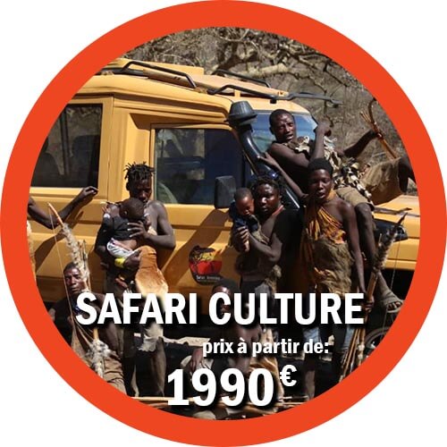Culture safari