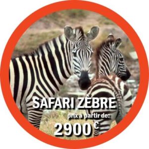 Forfait Tanzanie et safari en mer à Zanzibar