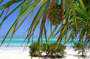 Holiday Zanzibar