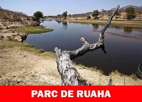 Parc national de Ruaha