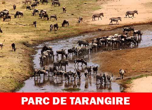 Parc national de Tarangire