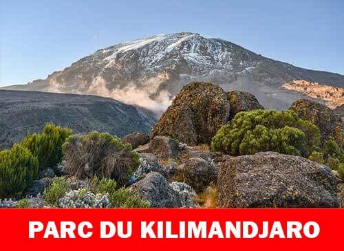 Parc national du Kilimandjaro
