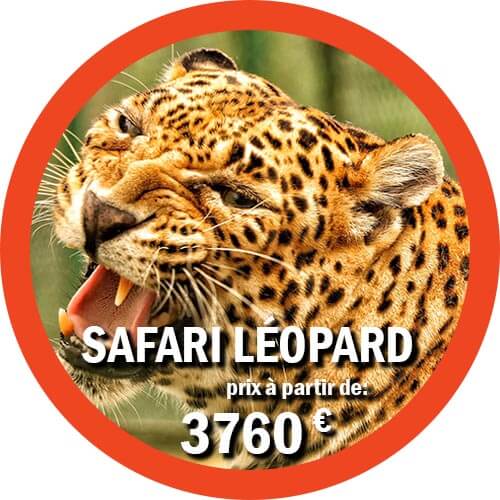Safari de 9 jours dans les parcs du Nord en Tanzanie