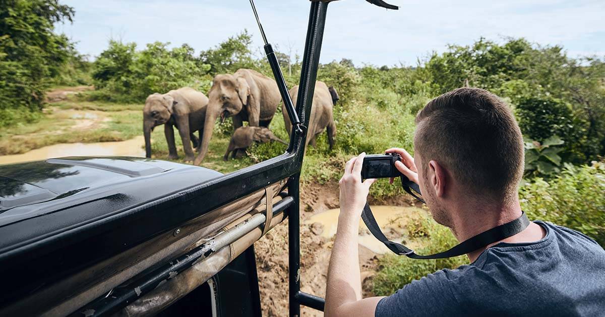 safari tanzania quando andare