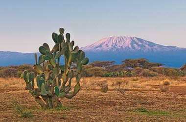 Vista del Monte Kilimanjaro
