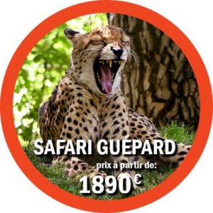 guépard Safari de 7 jours en Tanzanie