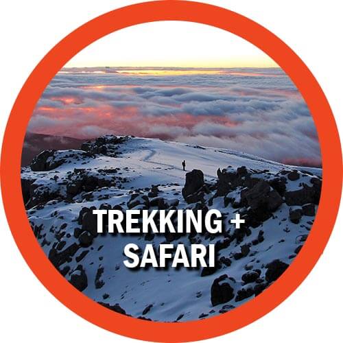 Safari Tanzania trekking Kilimangjaro