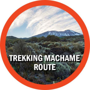 Trekking Machame Route