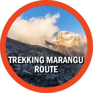 Trekking Marangu Gate