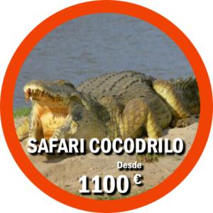 Safari Cocodrilo