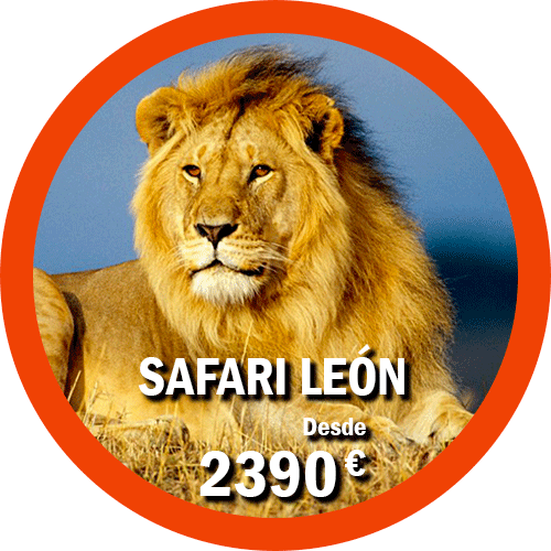 Safari León