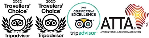 TripAdvisor certificates of excellence