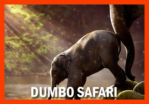 Dumbo safari Tanzania