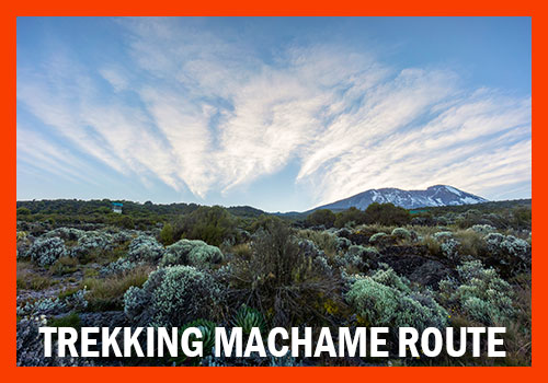 Machame Route trekking kilimanjaro