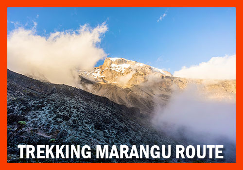 Marangu Route trekking kilimangiaro