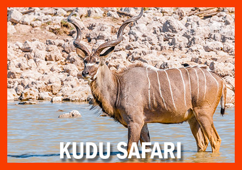 11-days Safari Kudu Tanzania