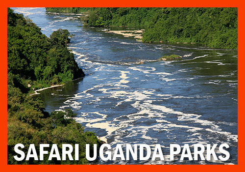 Safari Parchi dell'Uganda