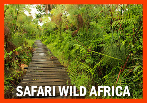Safari Wild Africa Uganda e Tanzania