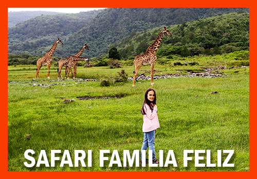 Safari familia feliz