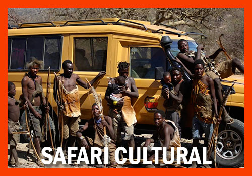 safari cultural