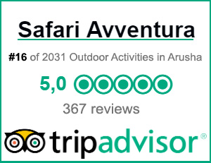 Reviews Safari Avventura TripAdvisor