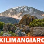 Parc national du Kilimandjaro