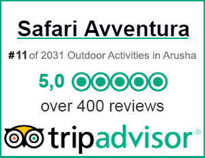 Reviews Safari Avventura TripAdvisor