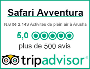 Avis TripAdvisor Safari Avventura