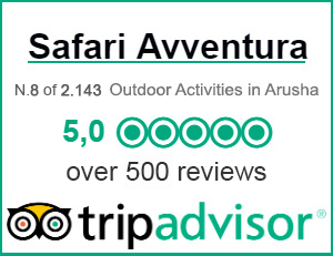 Reviews Safari Avventura TripAdvisor