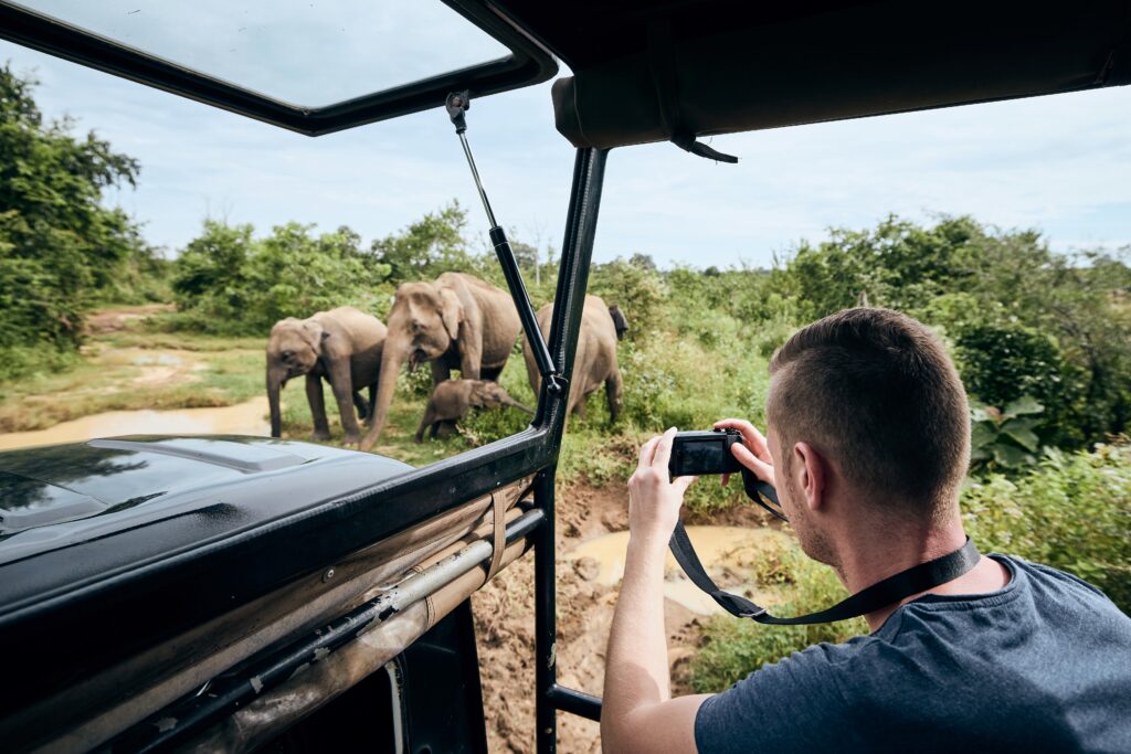 voyage safari en afrique