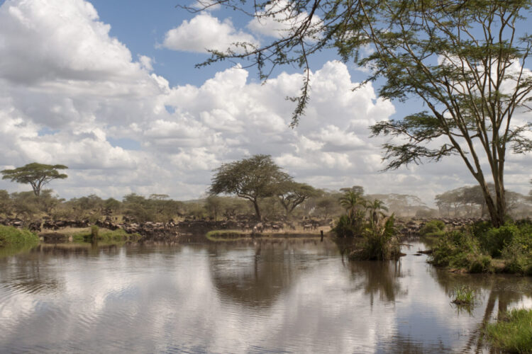 Tanzanie