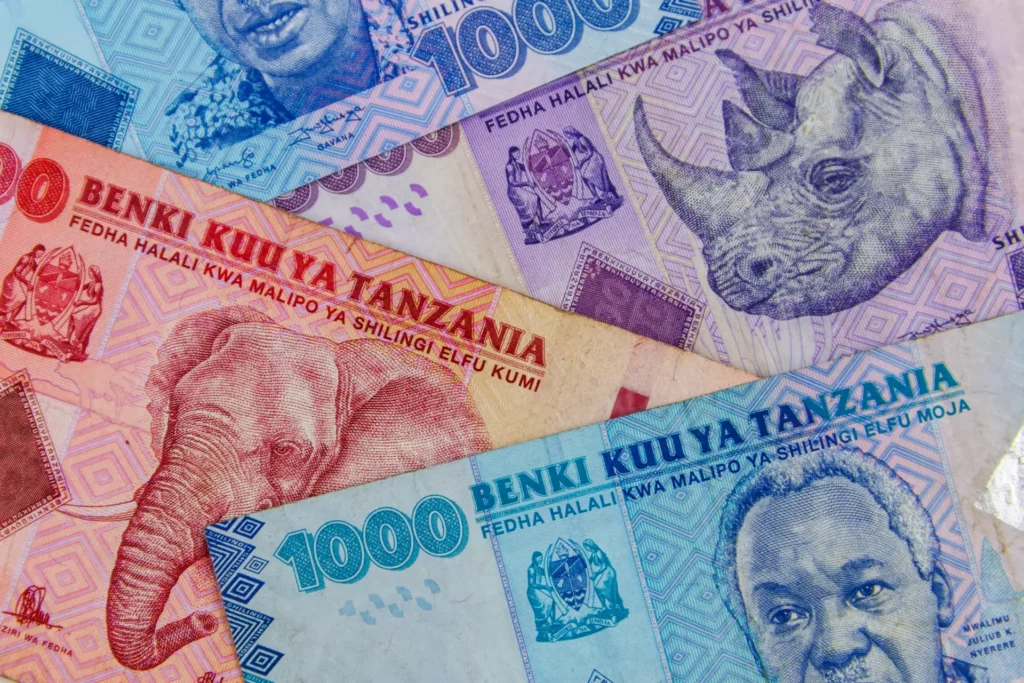 Monnaie Tanzanie : schilling et devise